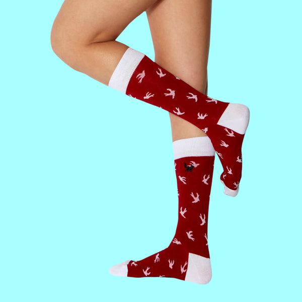 Birds of Paradise - SlySocks