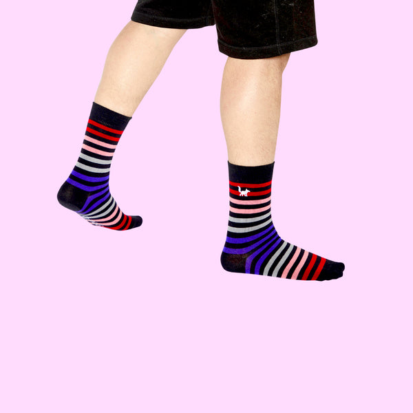 Sunset Blvd. - SlySocks