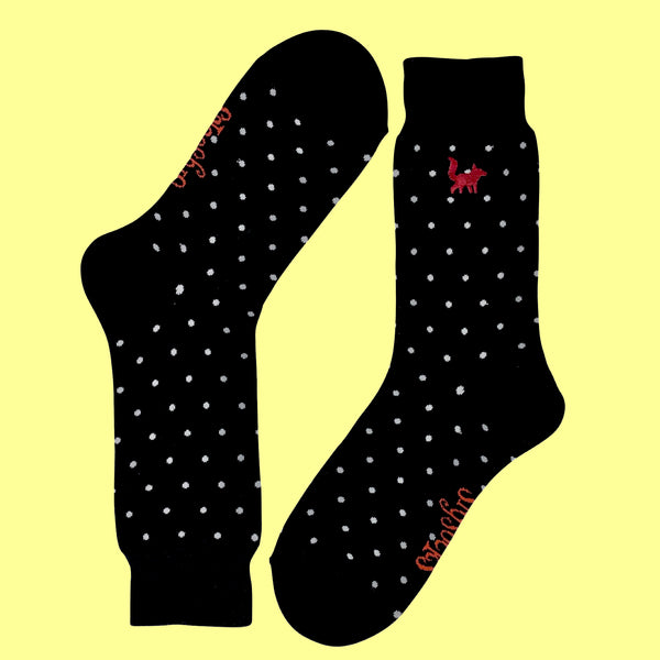 Stars And Stripes Bundle - SlySocks