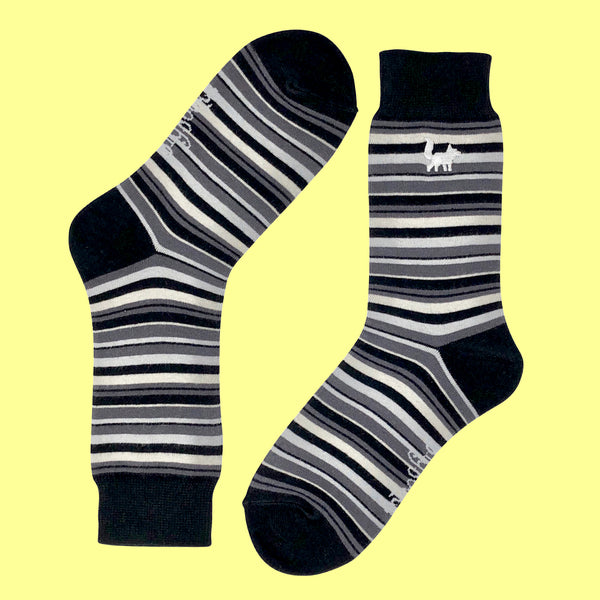 Stars And Stripes Bundle - SlySocks