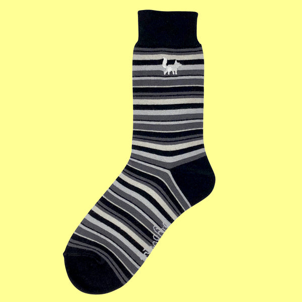 Stars And Stripes Bundle - SlySocks