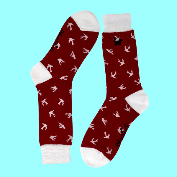 Flying First Class Bundle - SlySocks