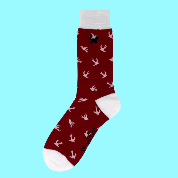 Flying First Class Bundle - SlySocks